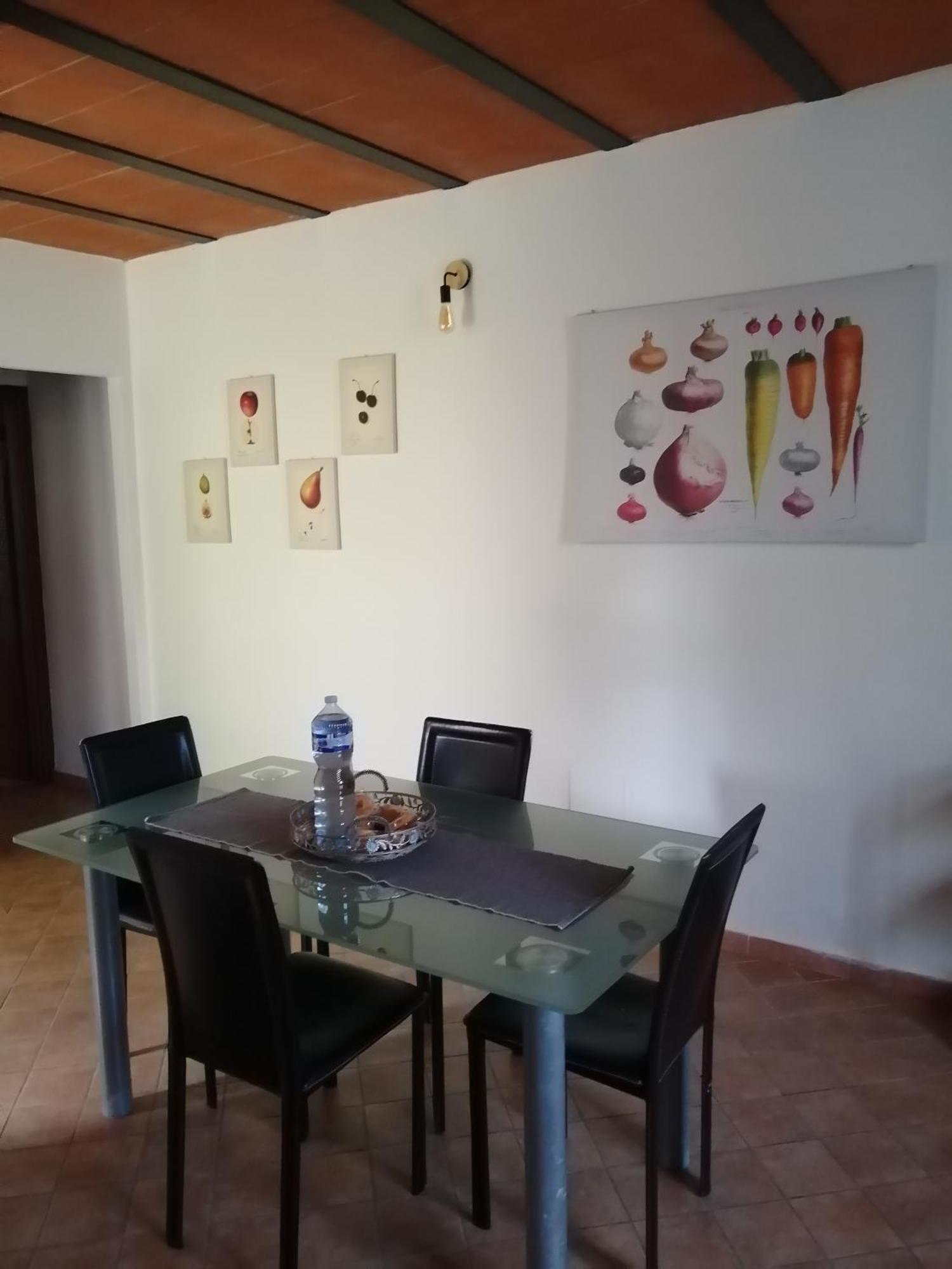 피사 A Casa Mia 아파트 외부 사진