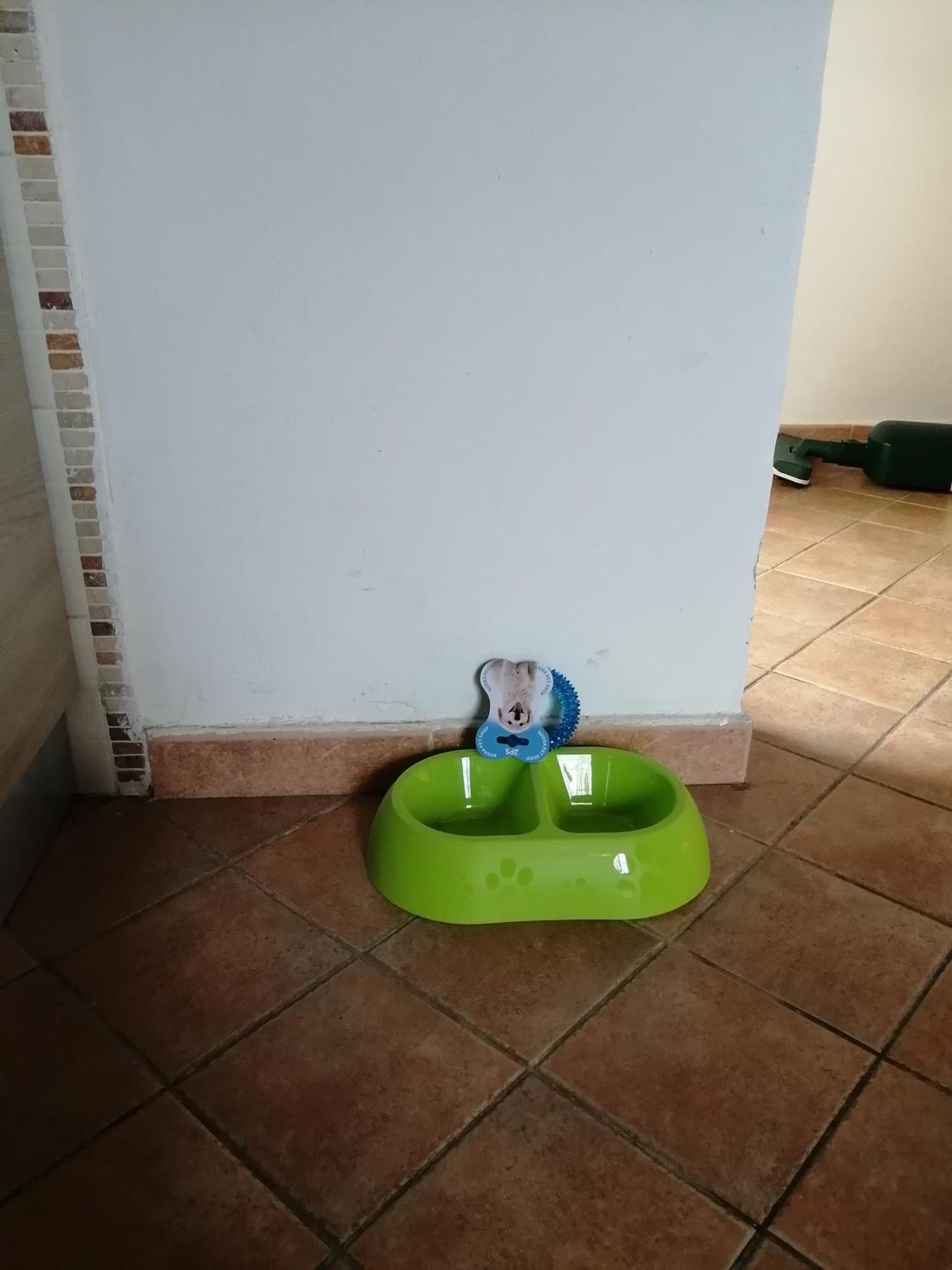 피사 A Casa Mia 아파트 외부 사진